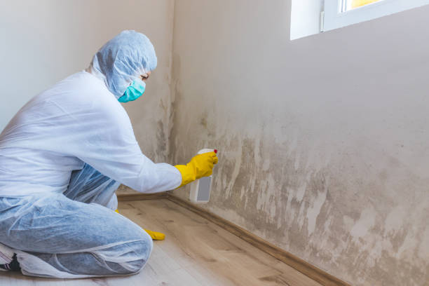 Licensed Commercial Mold Remediation service in East Waterford, PA - WQB Mold Removal